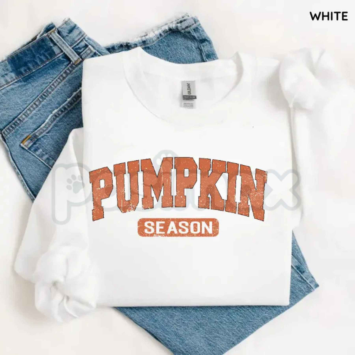 Retro Pumpkin Season Sweatshirt