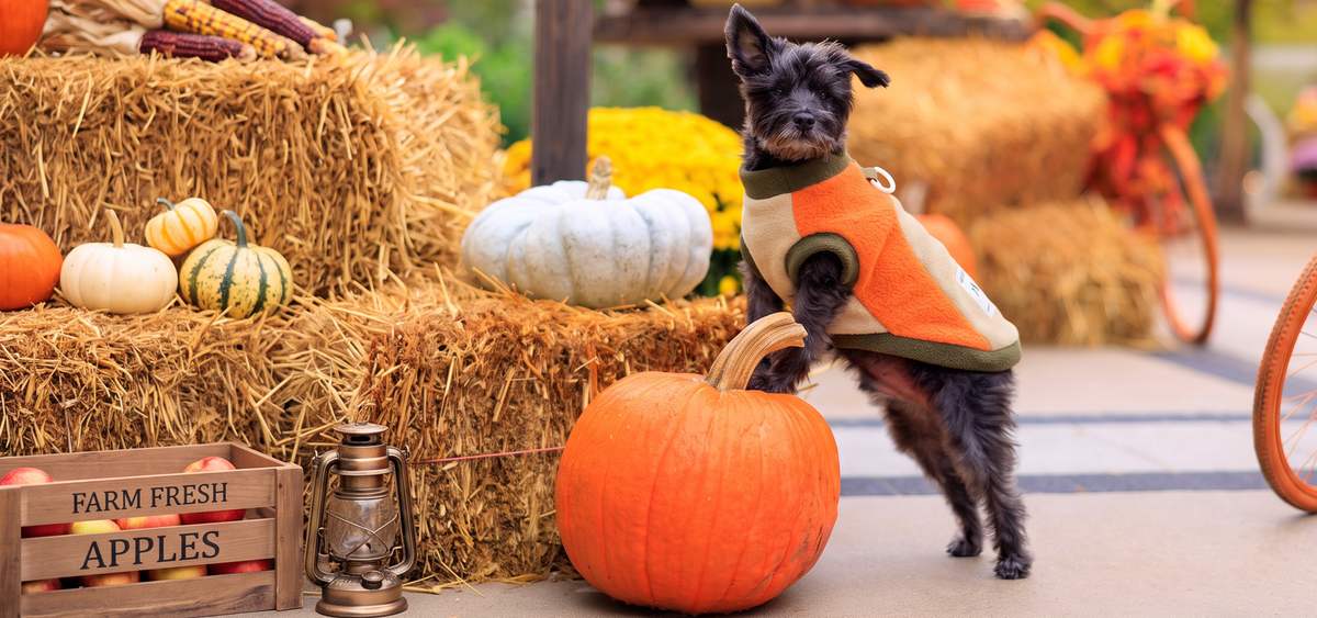 slider image slider_item_pVV7tG