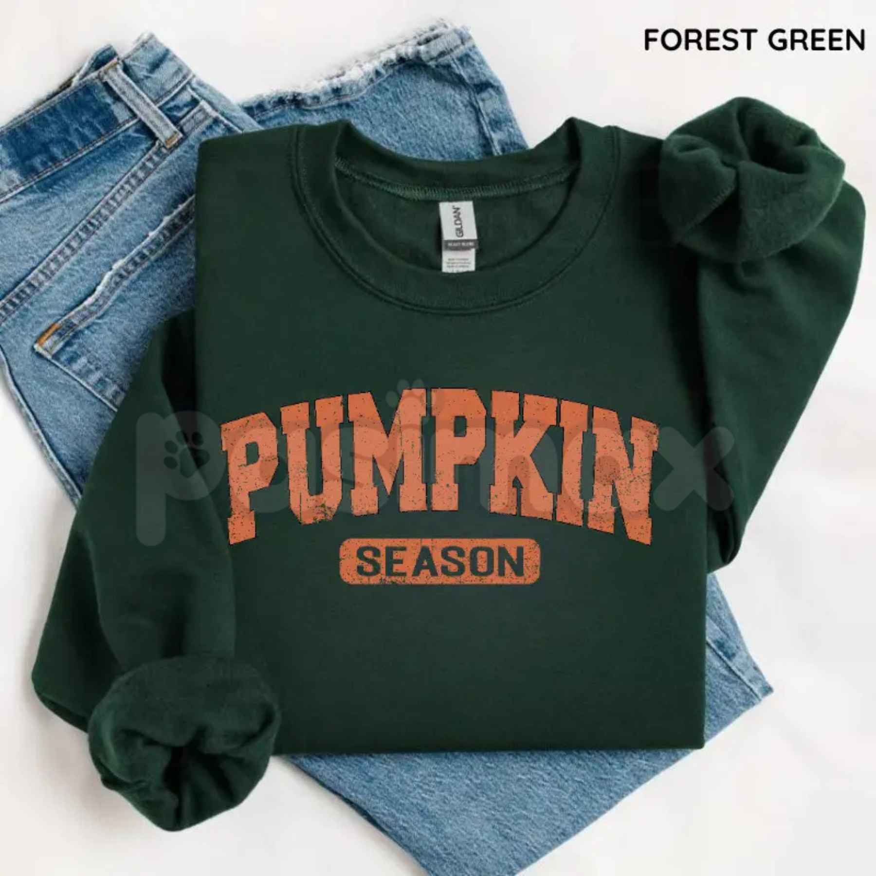 Retro Pumpkin Season Sweatshirt